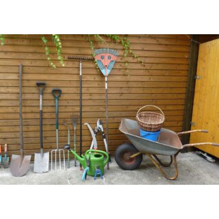 Asics GT-2000 Laufschuhe Herren | mehrere Farben